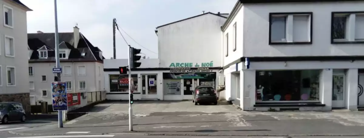 L'arche de Noe